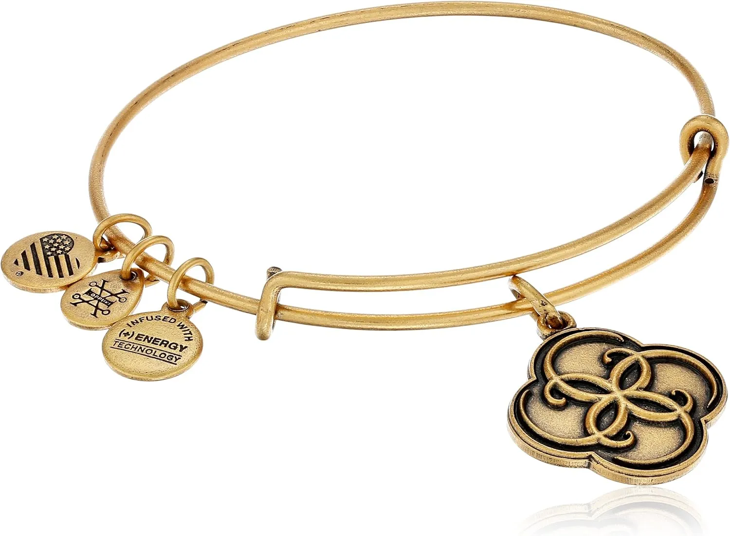 Alex and Ani Breath of Life Rafaelian Bangle Bracelet
