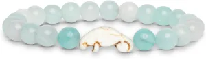 Fahlo Drift Bracelet Manatee Tracking Bracelet, Elastic, Supports Clearwater Marine Aquarium, one Size fits Most for Men and Women