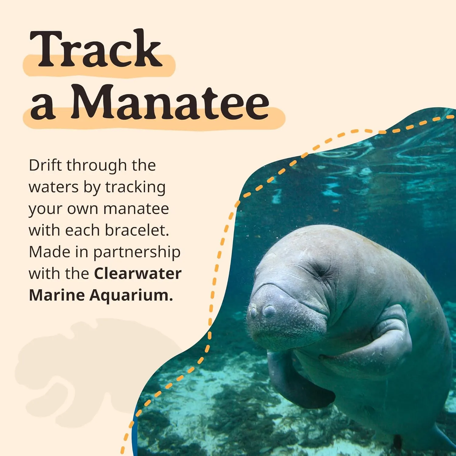 Fahlo Drift Bracelet Manatee Tracking Bracelet, Elastic, Supports Clearwater Marine Aquarium, one Size fits Most for Men and Women