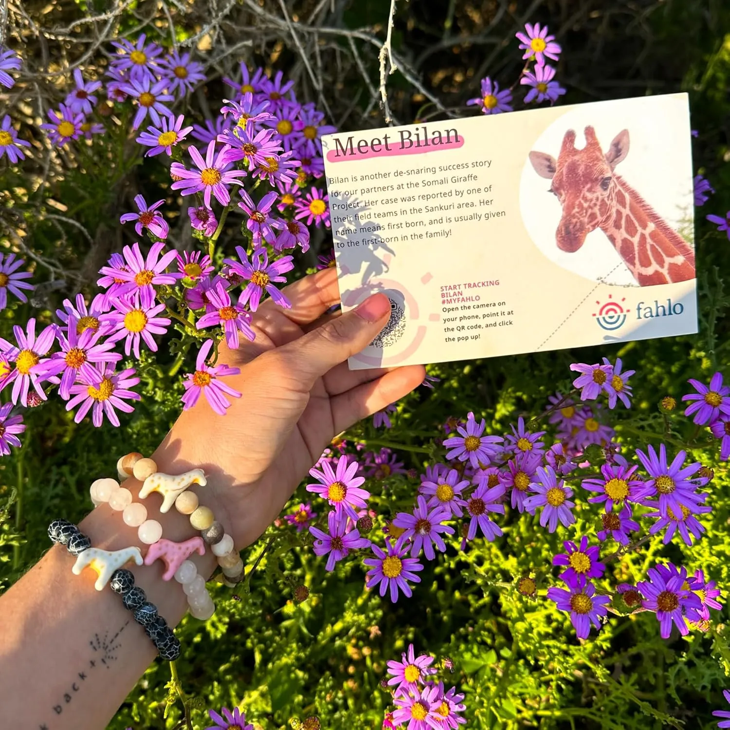 Fahlo Giraffe Tracking Bracelet, Elastic, supports Somali Giraffe Project, one size fits most for Men and Women