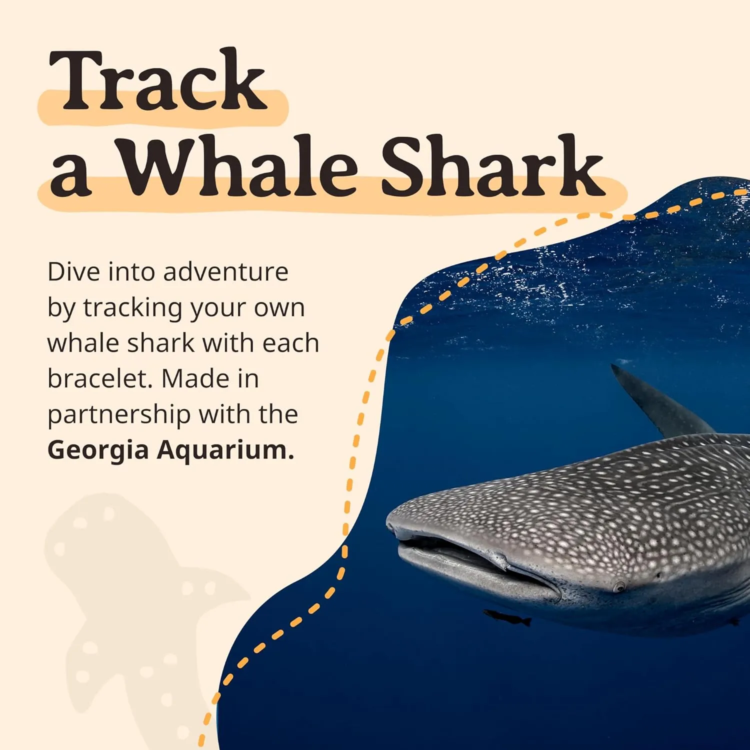 Fahlo Quest Bracelet Whale Shark Tracking Bracelet, Elastic, Supports Georgia Aquarium, one Size fits Most for Men and Women