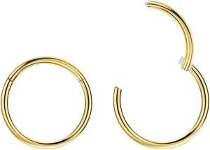 FANSING Nose Hoop 2 Pieces Surgical Steel Nose Rings for Women Cartilage Earring Hoop Men Hinged Septum Jewelry for Nostril Helix Tragus Daith Conch Lip Rook Ear Lobe Piercings