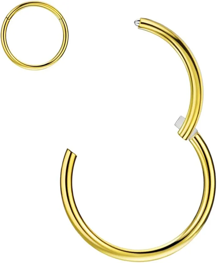 FANSING Nose Hoop 2 Pieces Surgical Steel Nose Rings for Women Cartilage Earring Hoop Men Hinged Septum Jewelry for Nostril Helix Tragus Daith Conch Lip Rook Ear Lobe Piercings