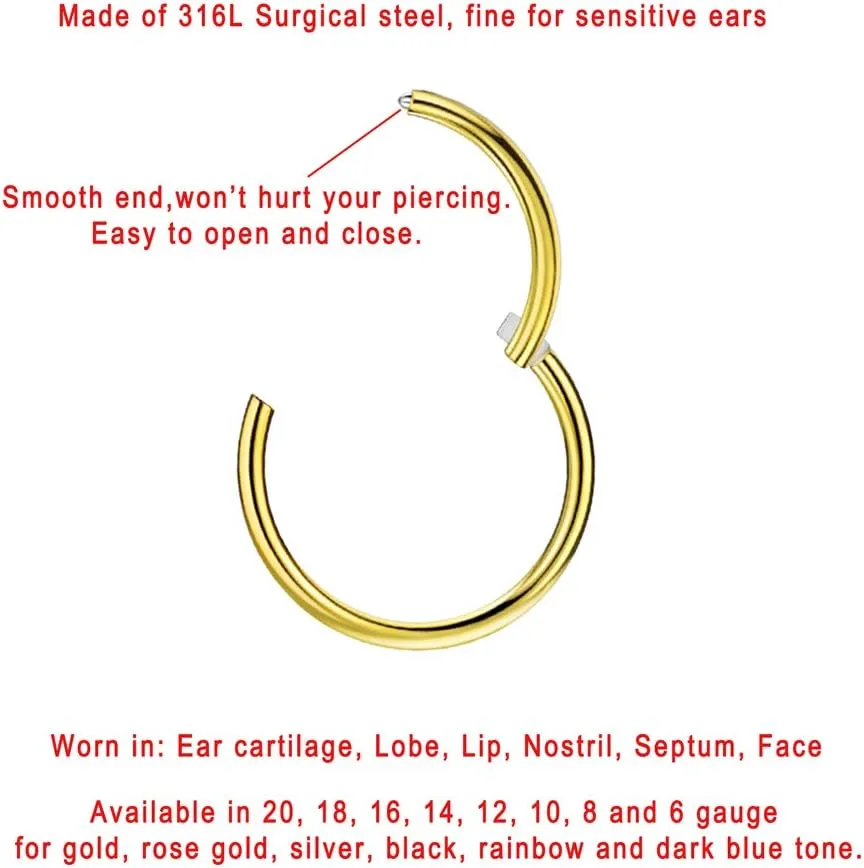 FANSING Nose Hoop 2 Pieces Surgical Steel Nose Rings for Women Cartilage Earring Hoop Men Hinged Septum Jewelry for Nostril Helix Tragus Daith Conch Lip Rook Ear Lobe Piercings