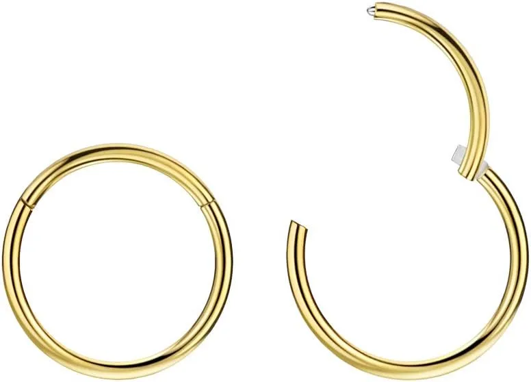 FANSING Nose Hoop 2 Pieces Surgical Steel Nose Rings for Women Cartilage Earring Hoop Men Hinged Septum Jewelry for Nostril Helix Tragus Daith Conch Lip Rook Ear Lobe Piercings