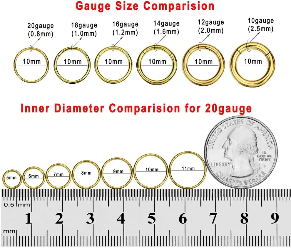 FANSING Nose Hoop 2 Pieces Surgical Steel Nose Rings for Women Cartilage Earring Hoop Men Hinged Septum Jewelry for Nostril Helix Tragus Daith Conch Lip Rook Ear Lobe Piercings