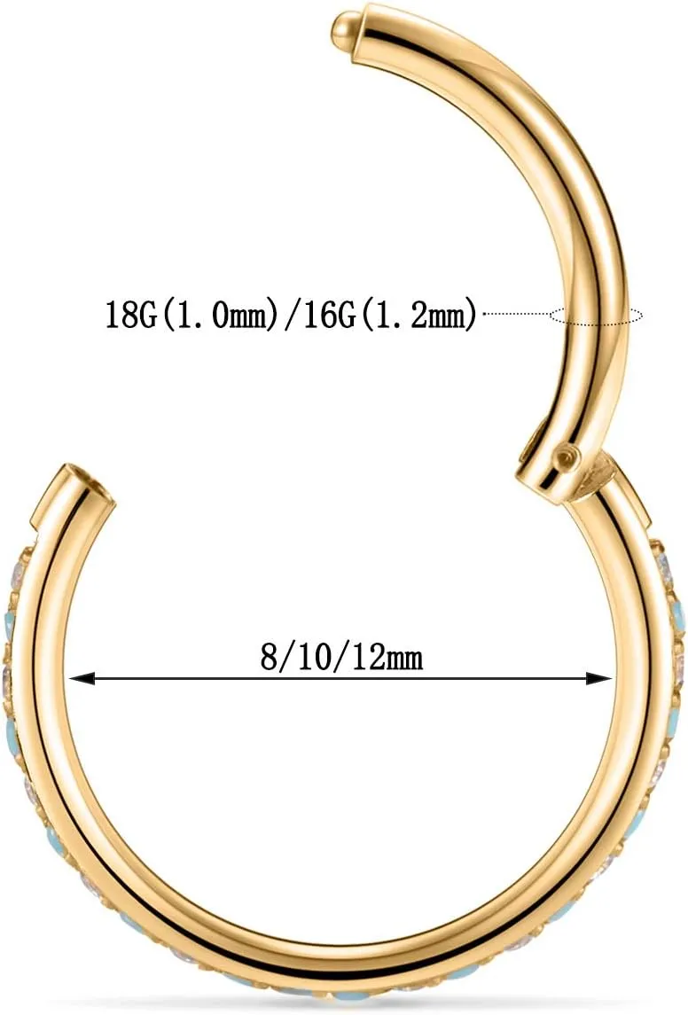 FUNLMO 20G 18G 16G 12G Nose Ring Hoop Conch Rook Daith Helix Tragus Piercing Jewelry 316L Surgical Steel Cartilage Earring Conch Hoop Earring Septum Jewelry Belly Lip Ring 5mm to 14mm