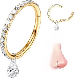 G23 Titanium Cartilage Earring Hoop: 16G 8mm 10mm 12mm Conch Helix Piercing Jewelry CZ Double/Triple Nose Rings Hoops Septum Rings Hypoallergenic Hinged Segment Clicker Lip Rings Rook Daith Tragus Earrings