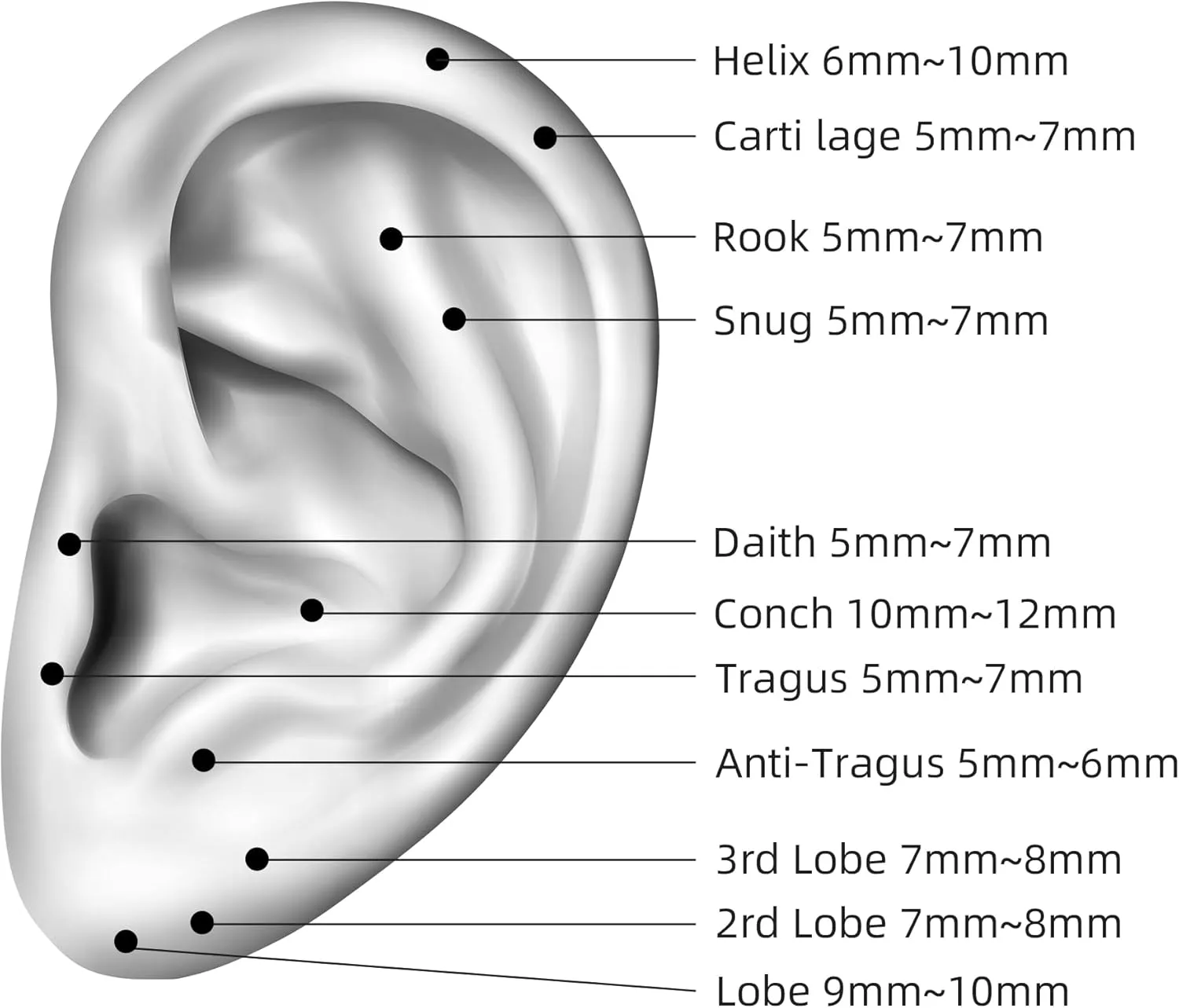 Hypoallergenic ANNGEE Nose Piercing Rings Collection: 316L Surgical Steel Hoop Earrings for Septum, Cartilage, Hinged Helix, Rook, Conch, Tragus, Lip