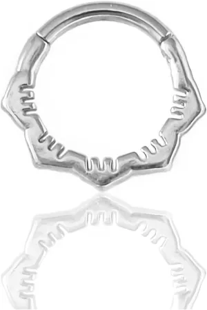 Hypoallergenic Nose Piercing Rings Collection: 316L Surgical Steel Hoop Earrings for Septum, Cartilage, Hinged Helix, Rook, Conch, Tragus, Lip