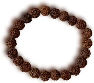 NAISHA Certified Original 5 Mukhi 8MM Rudraksha Bracelet, Stretch Bracelet, Authentic Genuine Natural Rudraksh for Man & Women with Lab Certificate.